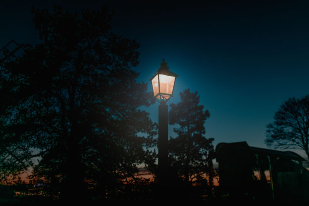 Security and landscape lighting