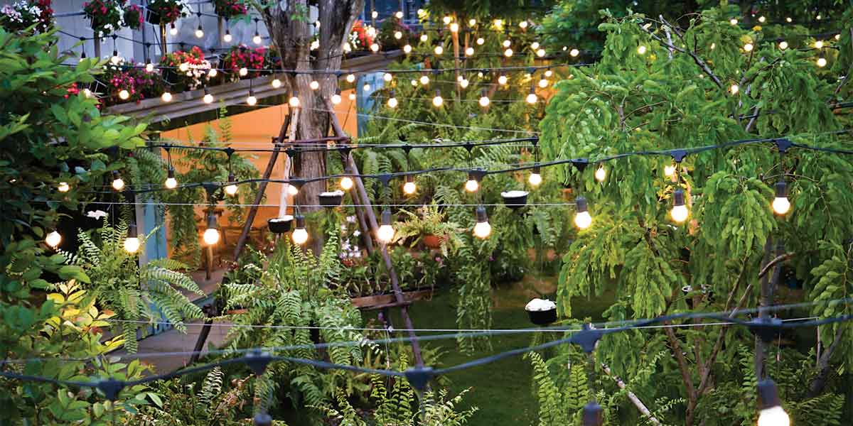 Patio and Garden Lighting by Expert Electric featuring warm string lights draped across lush green trees, ferns, and a cozy backyard seating area to create a beautiful illuminated outdoor living space ideal for evening gatherings and relaxation.